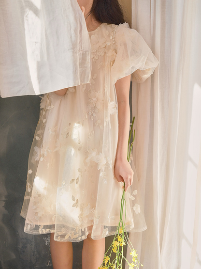 Petal Whisper Ivory Embroidered Tulle Dress