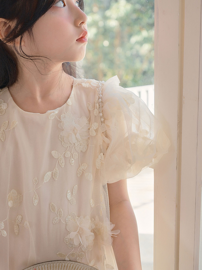 Petal Whisper Ivory Embroidered Tulle Dress